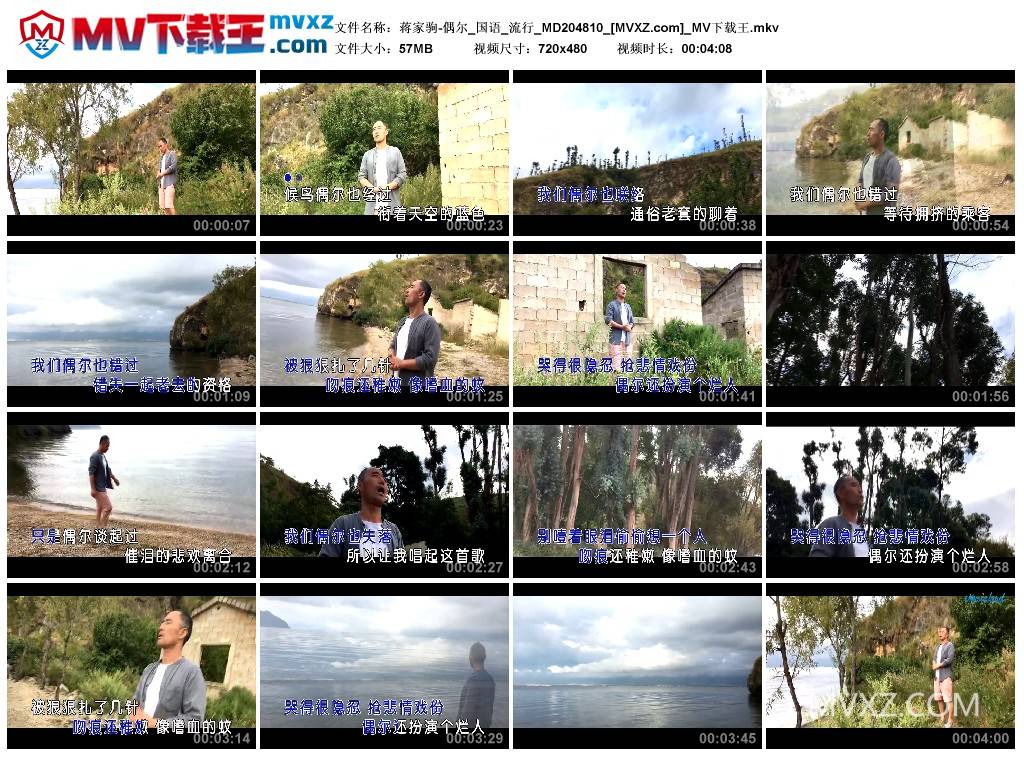 蒋家驹-偶尔_国语_流行_MD204810